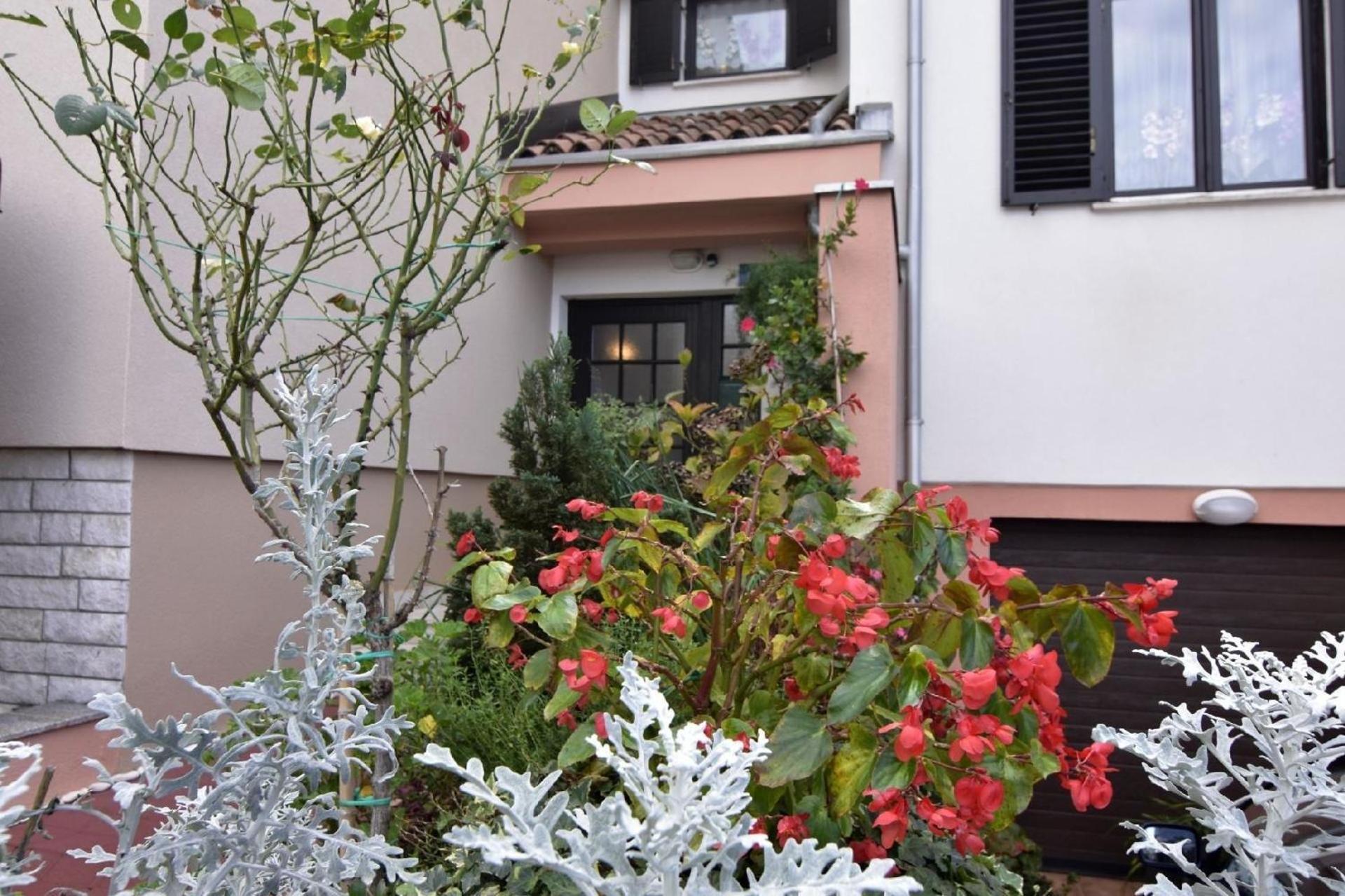 Apartment Einfache 2-zimmer-wohnung In Meeresnaehe Umag